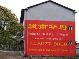 长武百分之90的人都不了解的农村墙体广告