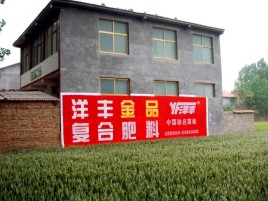 长武如何让墙体广告展现最大化效果