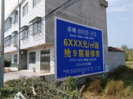 长武墙体广告质量分析