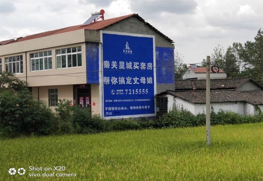 长武决定墙体广告价格的因素有哪些?