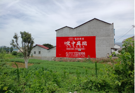长武做墙体广告的意义