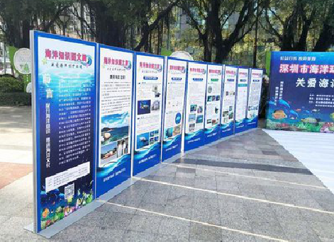 长武KT板的种类和知识。